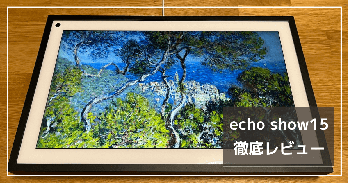echoshow15_レビュー