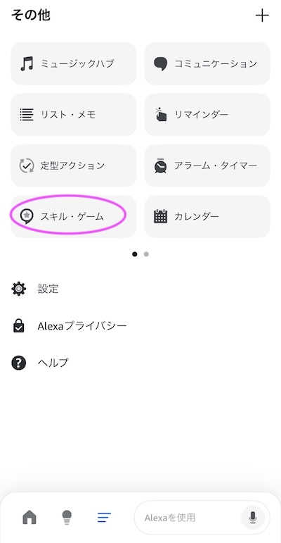 アレクサその他